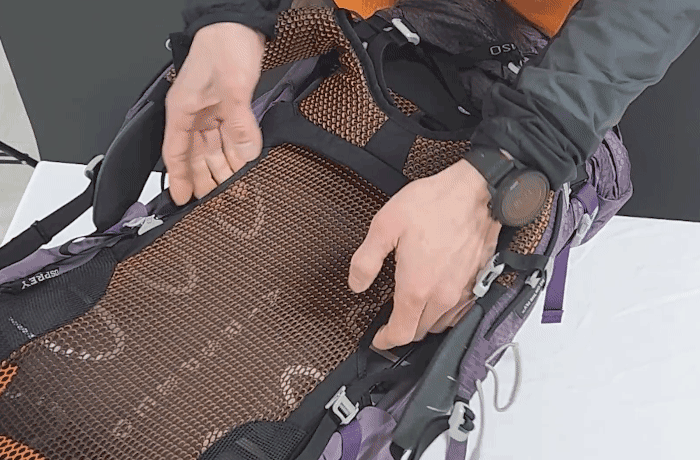 ce956d732a932cd0dae7a8b847f09a22_1719996900_99.gif