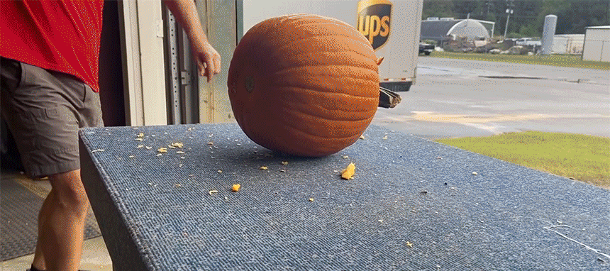 d13b259e9651ea90040639a76b2d2852_1733202045_1596.gif