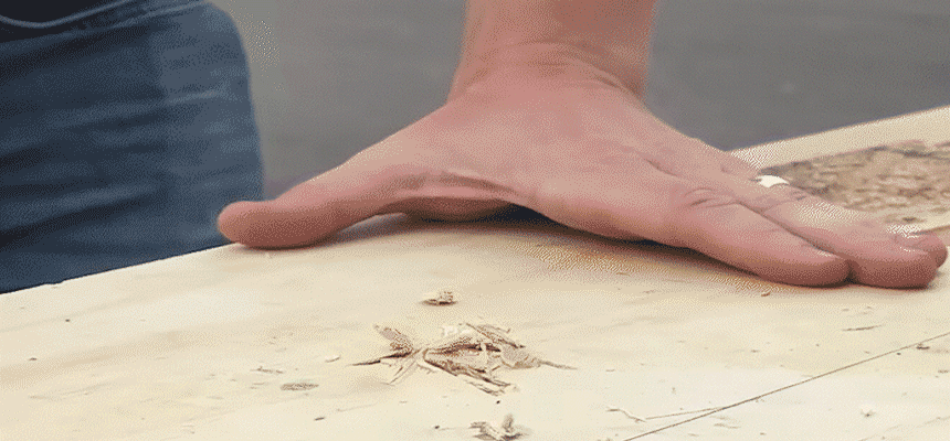67433383e6a201ff0f056ab9c0f79ac5_1779868478_3121.gif