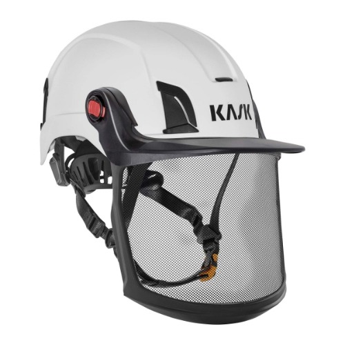 e00bdbbc9de5745438af899261d9ed90_1783672030_7655.jpg